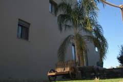 Villa Loftstyle - Außenbereiche, Terrassen, Die Palme-Lounge, Bank zum Ausruhen 2