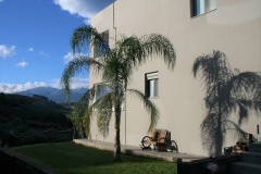 Villa Loftstyle - Außenbereiche, Terrassen, Die Palme-Lounge, Schatten am Morgen