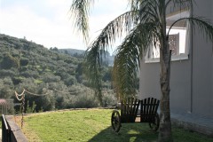 Villa Loftstyle - Außenbereiche, Terrassen, Die Palme-Lounge, am Nachmittag